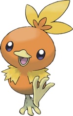 Torchic