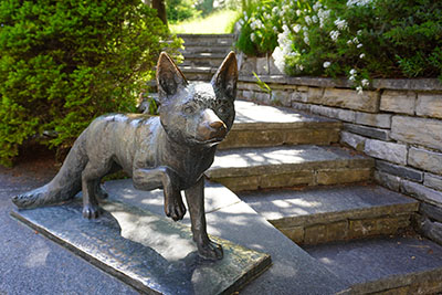 Fox statue in Murren, Switzerland