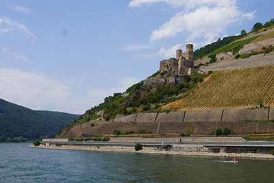 Castle and terraced vineyards along the Rhine