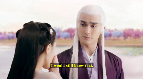 Screenshot of Donghua telling Fengjiu, '...I would still know that.'