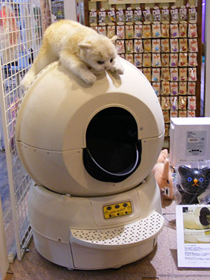 Litter Robot in the Odaiba cat cafe